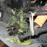 img_3173 img_3173
